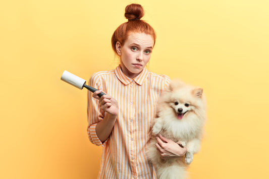 Enlever les poils d'animaux de vos vêtements : les 10 meilleures astuces de 2023