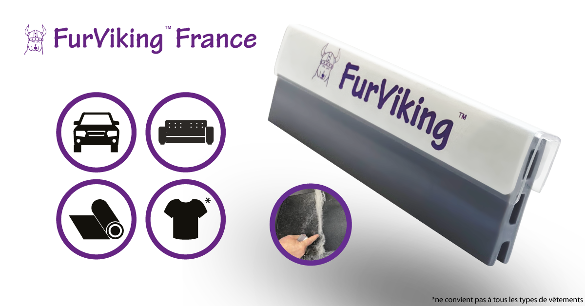 Comment enlever les poils d'animaux de sa voiture en 2023, les astuces –  FurViking France