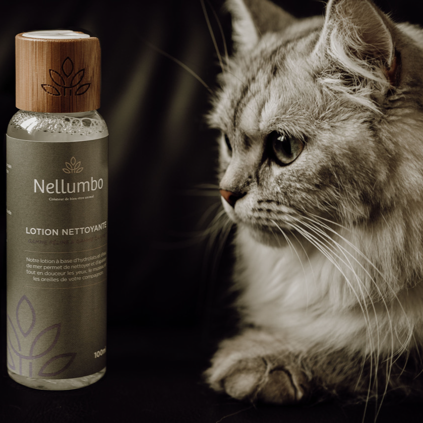 Lotion Nettoyante - Yeux, Museau et Oreilles de Chiens et Chats